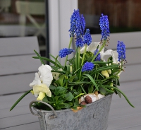 Ferienhaus Smilla Ferienhaus Smilla