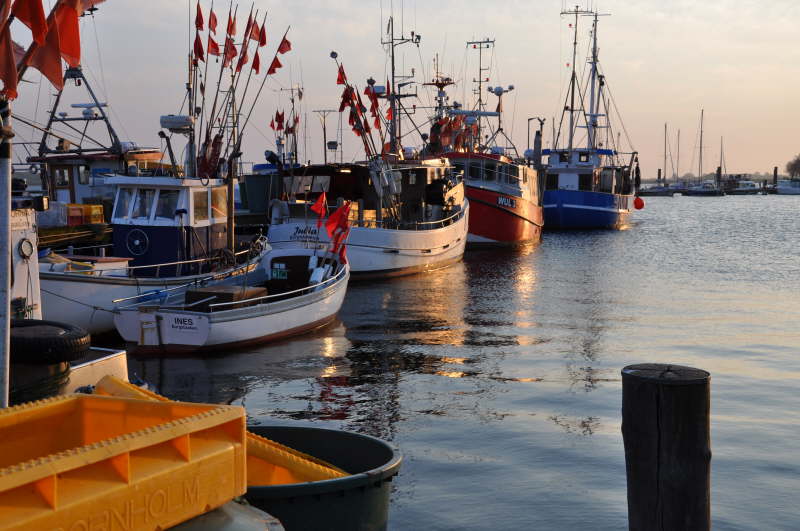 Fischereihafen Burgstaaken